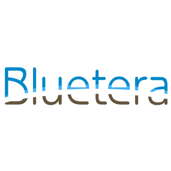 Bluetera Winston Salem Website Design